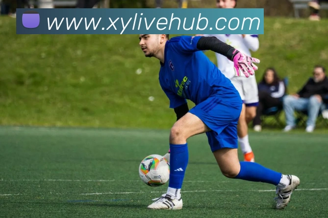 杏悦娱乐发展历程