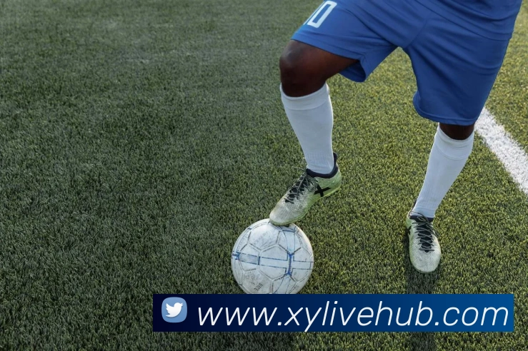 老里称开拓者如同前队伍模仿联盟策略聚焦罗林斯